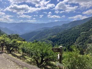 IMG_4020